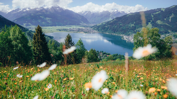 Zell am See Panorama