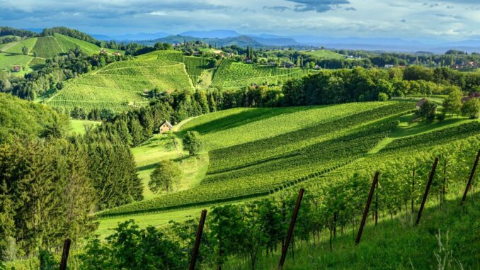 pixelmaker_Suedsteiermark_Sommer