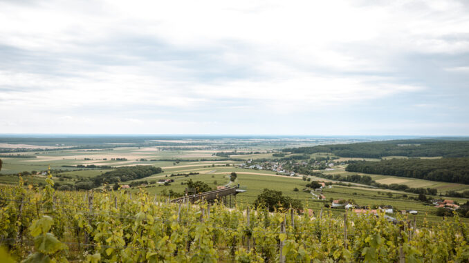 Off-the-Path-Paradiesroute-Weinblick-Aussichtsplattform_Sebastian-Canaves_Off-The-Path-www-off-the-path-com
