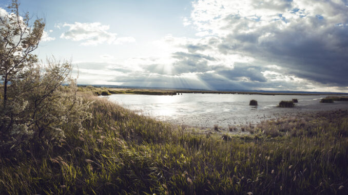 Nationalpark-Neusiedler-See-Seewinkel-Landschaft_Stefan-Leitner
