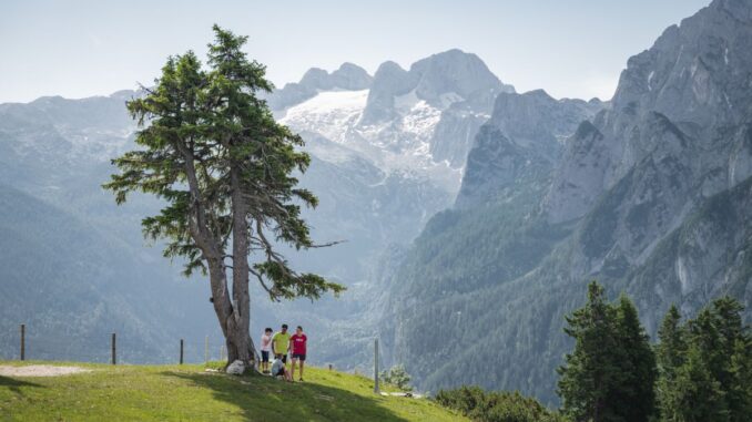 Zwieselalm (c) Dachstein Tourismus AG, ChrisEderMedia