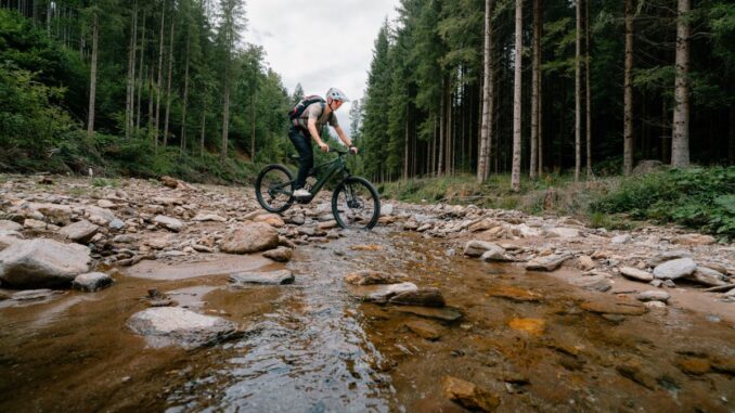 MTB-Steiermark_Lippizanerheimat- altes-almhaus-mtb-10