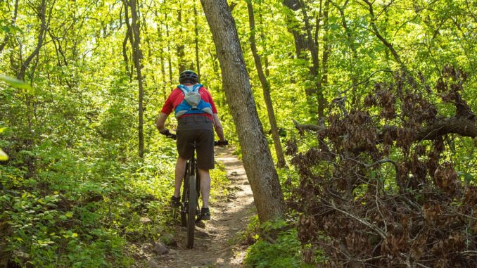mountainbike koordinationsstelle